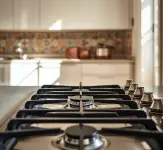 Servicio técnico especializado en estufas a gas.