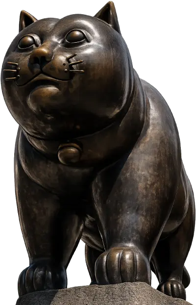 Servicio técnico de reparación de secadoras en Barcelona - El Gato del Raval